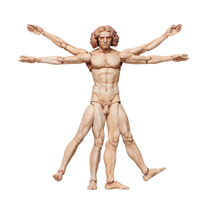 Figma SP075: Da Vinci's Vitruvian Man - Table Museum (Reissue) [FREEing]