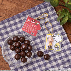 Shokugan: Peanuts Charm & Chocolate Snack (12 Packs Box) [Bandai] - Nin ...
