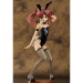 Toaru Kagaku No Railgun - Shirai Kuroko Bunny Ver
