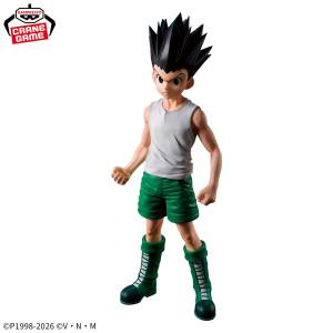 Hunter x Hunter Figures - Immersive World
