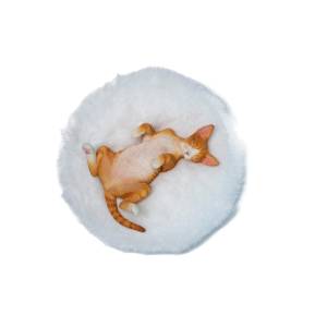 Relaxing Devon Rex - Orange Ver. [JXK Studio]