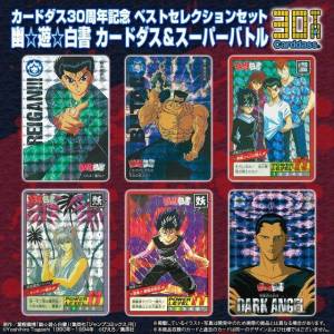 Carddass 30th Anniversary - Best Selection Set Yū Yū Hakusho Super Battle Ver. [Trading Cards]