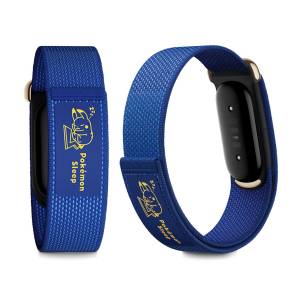 Google Fitbit Air: Pokémon Sleep (Limited Edition) [Google]