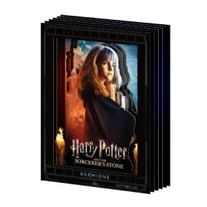 Harry Potter: Hermione Granger - Paper Shadow Art Mini [Ensky]