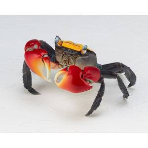 Red-clawed Crab [REVOGEO Vol.2]