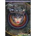 Devil Crash MD / Dragon's Fury [Mega Drive - occasion]